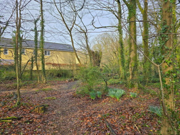 Photo 14