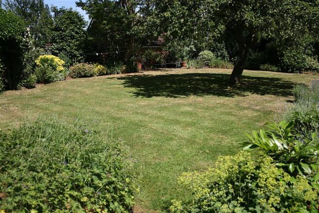 garden.jpg