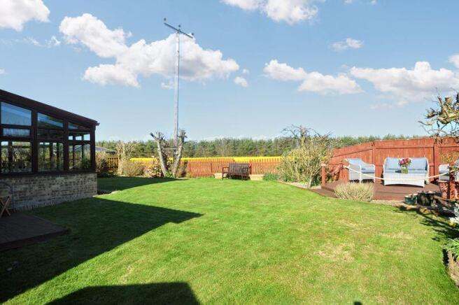 Rear garden