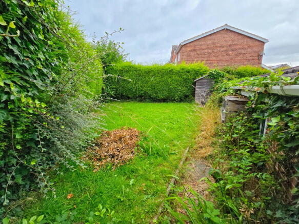 Photo 15