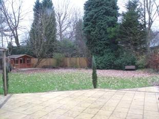 Garden 2