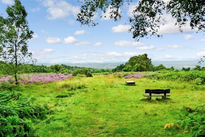 Surrounding Area - Ashdown Forest