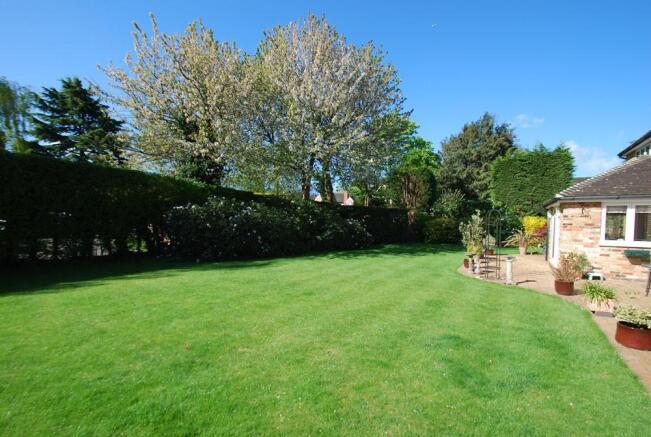 garden
