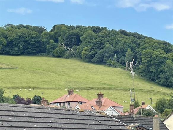 Hillside Views