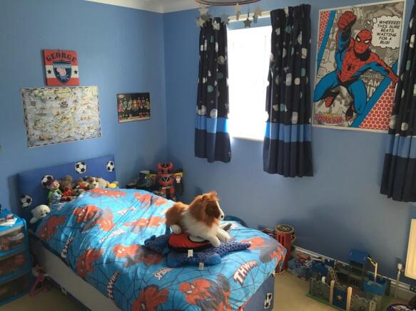 Photo 12