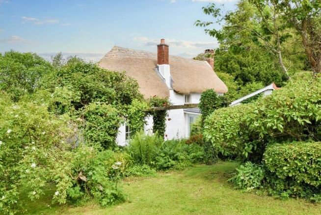 Rear gardens