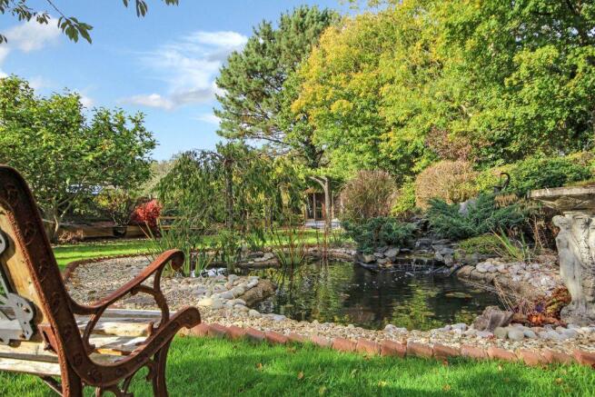 Garden at Back