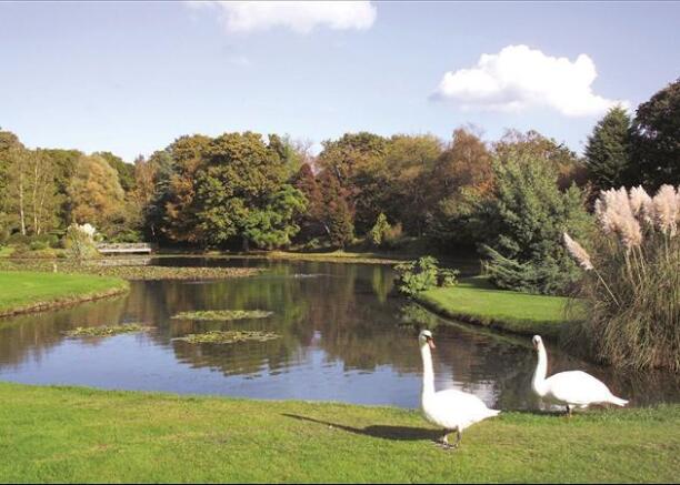 Lake