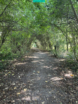 Woodland walk along development boundary