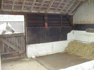 Stable interior