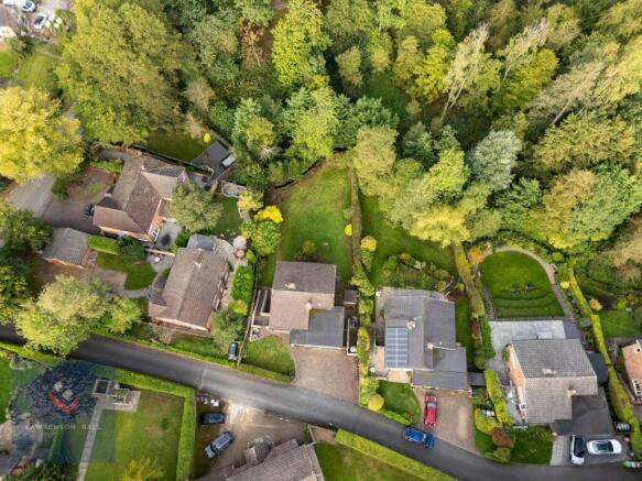 The Property