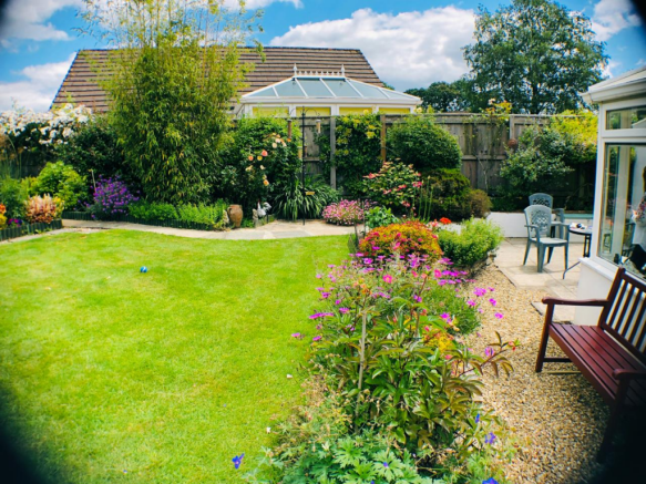 Garden 6.png