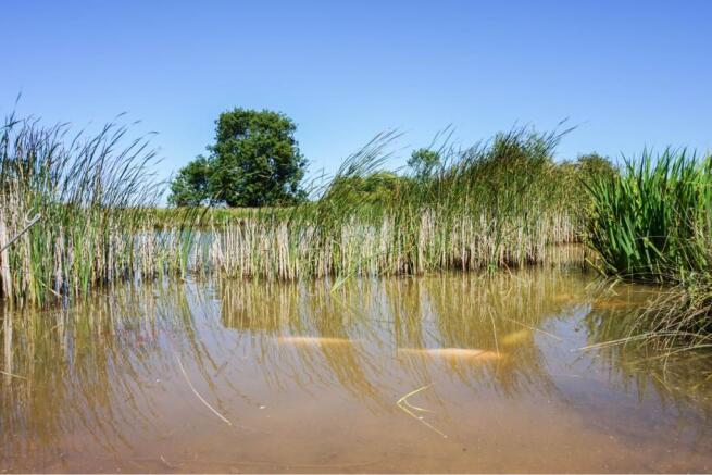 Lake