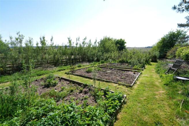 Vegetable Garden