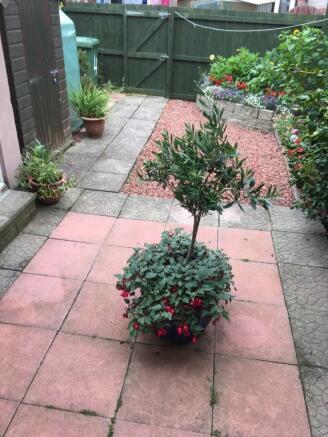 Photo 16