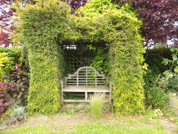 Photo 7