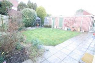 Garden 2