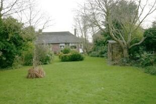 Garden Photo 4