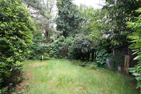 Rear Garden Alternate