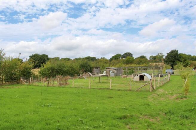 Field