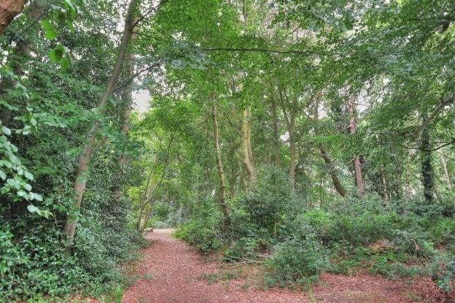 Woodland