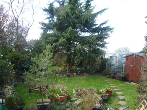 Photo 8