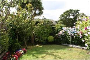 Rear gardens