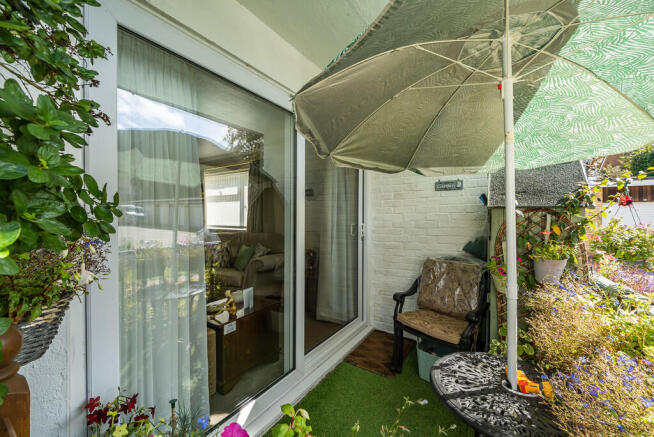 Patio Area