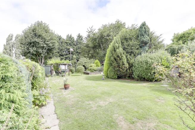 garden 4.jpg