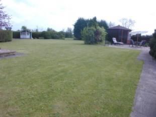 Picture 10