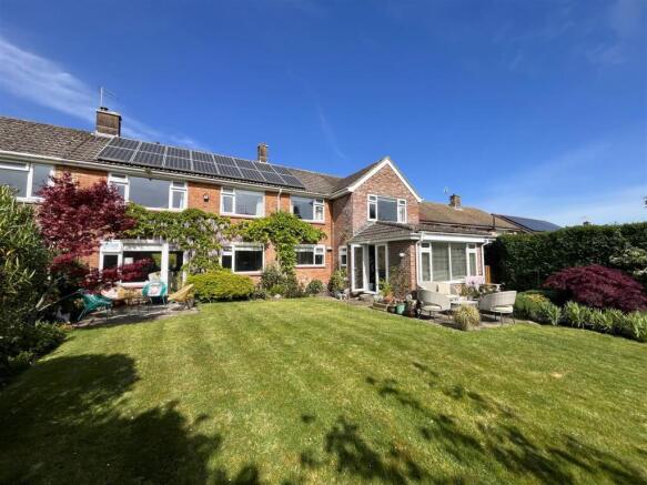 IMG_3194.jpg