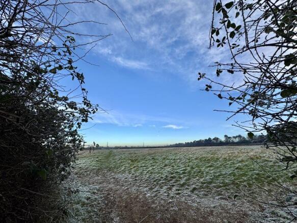 Field Opposite