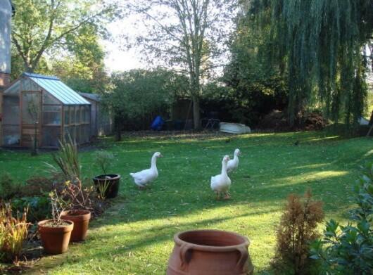 Photo 10
