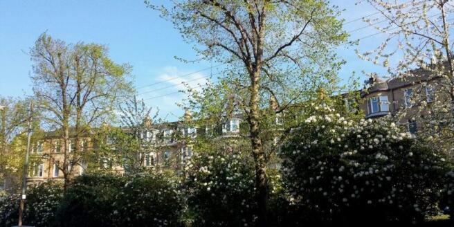 Photo 48