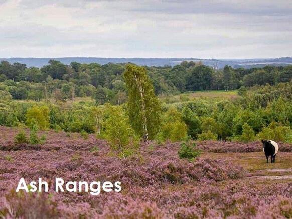 Ash Ranges