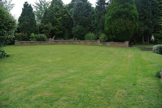 Lawn 