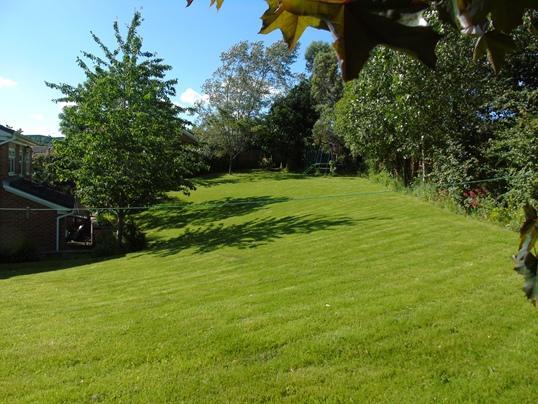 Rear garden