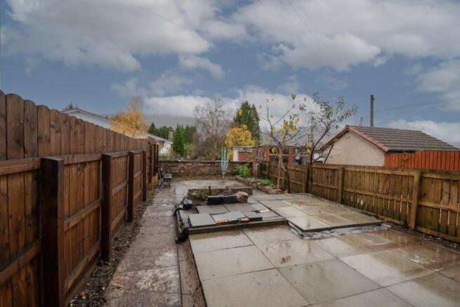 Back Garden
