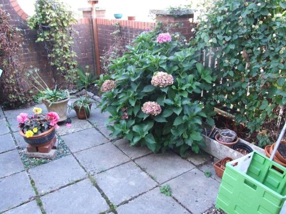 Photo 12