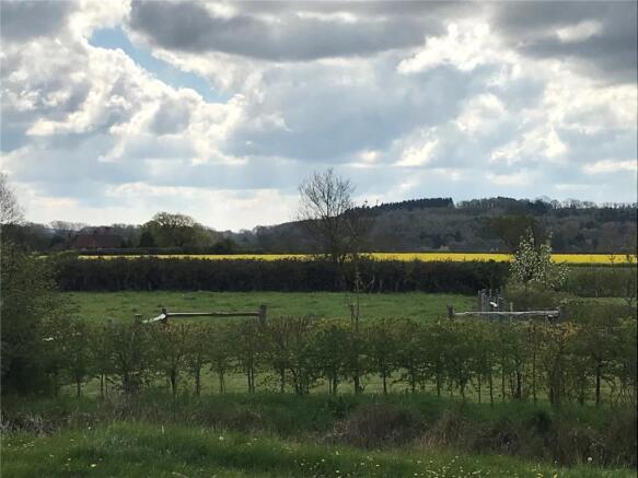 Field Opposite