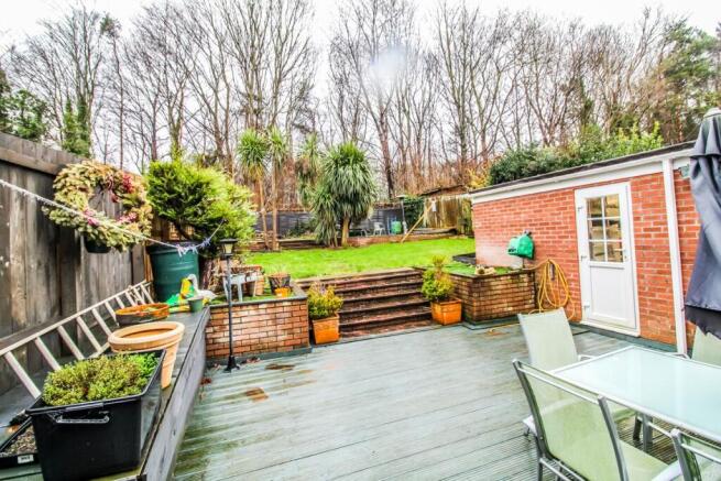 Garden Pic 4