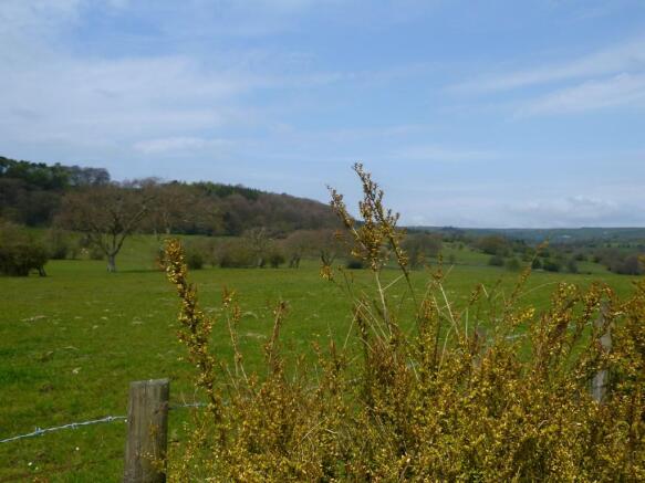 Photo 25