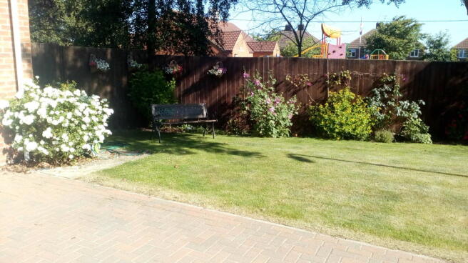 Photo 24
