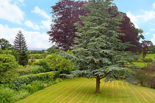 Gardens