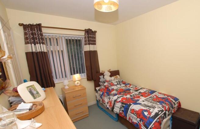 Photo 15