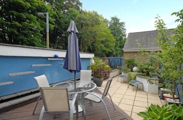 Garden / Patio
