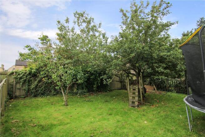Fruit Trees