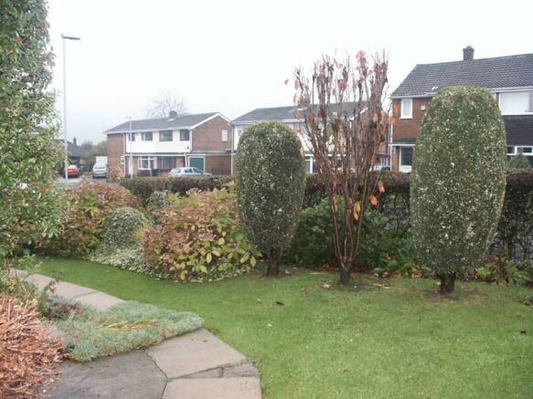 Photo 6