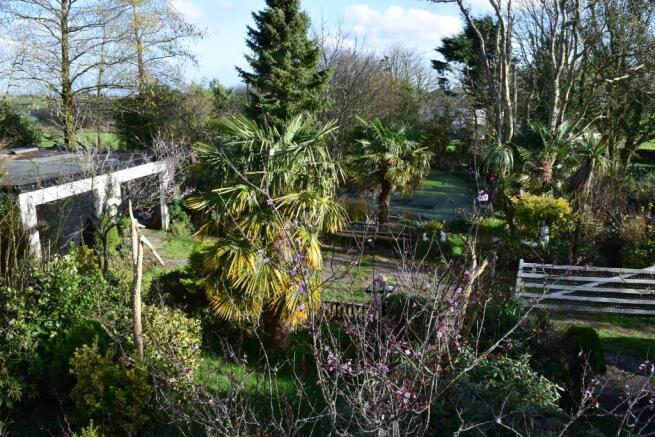 Garden & Driveway