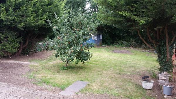 Photo 8